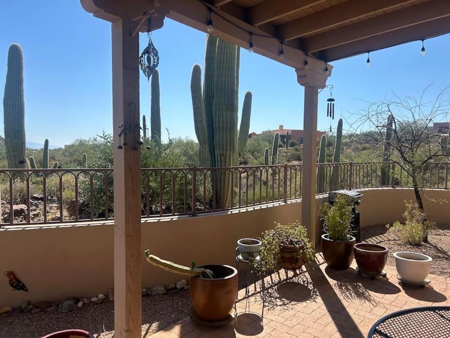 Villa Tucson Mnt Foothills Saguaro Bliss Exterior foto